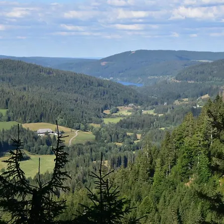 Lejlighed Serviced Hertingen