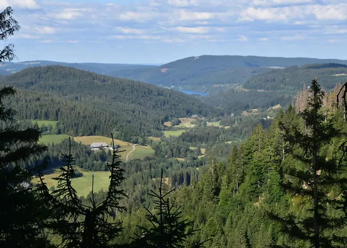 Lejlighed Serviced Hertingen