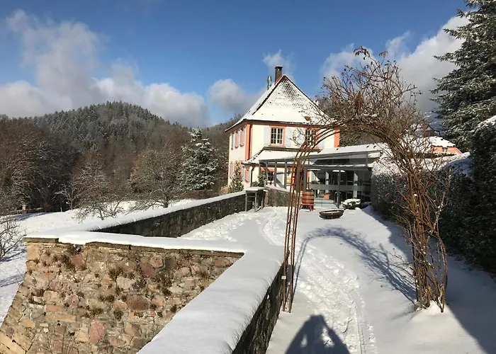 Serviced Hertingen Lejlighed *