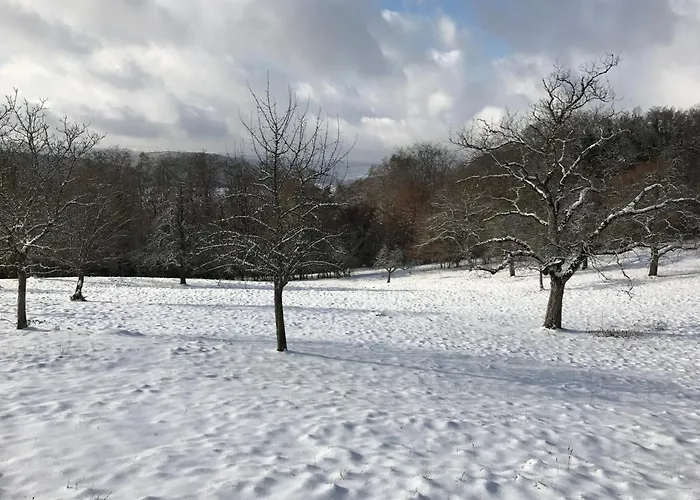 Serviced Hertingen *