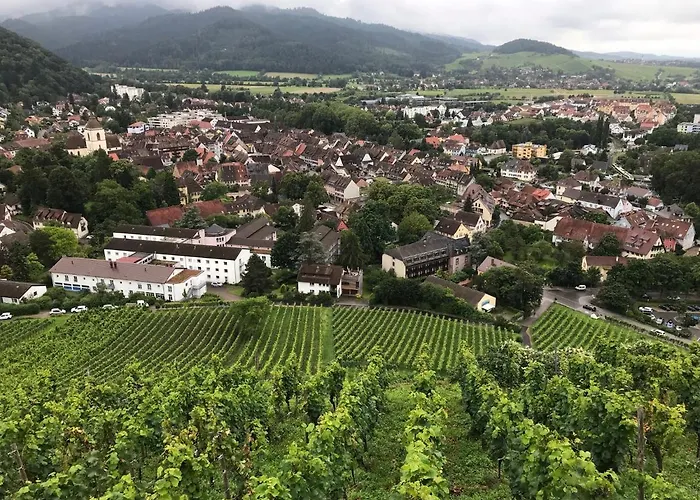 Serviced Hertingen Lejlighed *